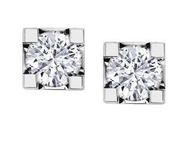 Forever Jewellery Gold Earrings